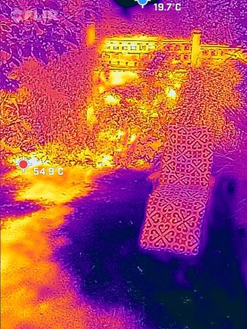 Thermal image of hot and cold spots in a garden.